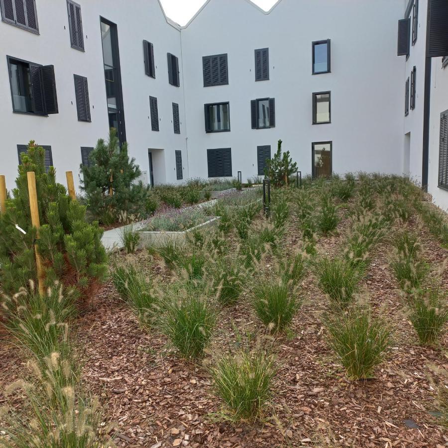 Apartament Orlando W Porto Leba 350M Od Morza Экстерьер фото