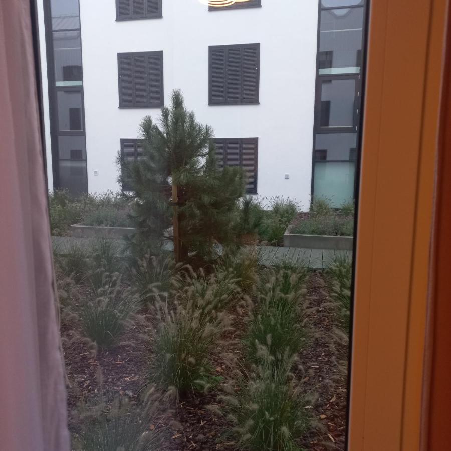 Apartament Orlando W Porto Leba 350M Od Morza Экстерьер фото